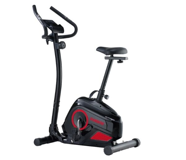 Bicicleta Fija Randers