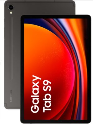 productos35_39465 Samsung X710 Tab S9 12GB/256GB 11" Gris