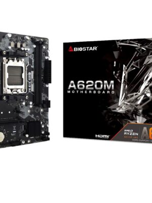 productos35_46302 Mother Biostar A620MS AM5