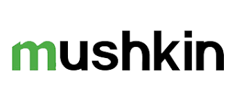 mushkin Memoria Mushkin DDR3 8GB 1600MHz DIMM